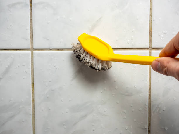 Best Same-Day Mold Removal  in Horicon, WI