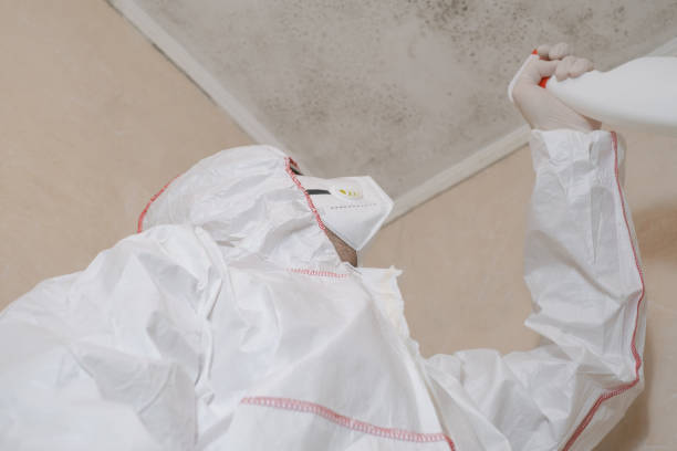 Best Mold Removal Near Me  in Horicon, WI